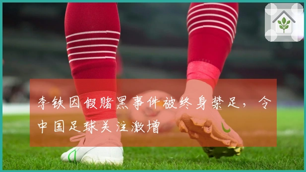 李铁因假赌黑事件被终身禁足，令中国足球关注激增
